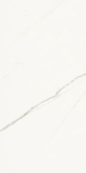 AE EXT6 12 RM.jpg